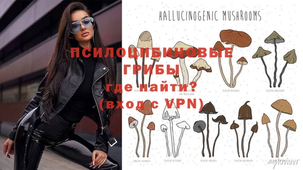 apvp Алексеевка